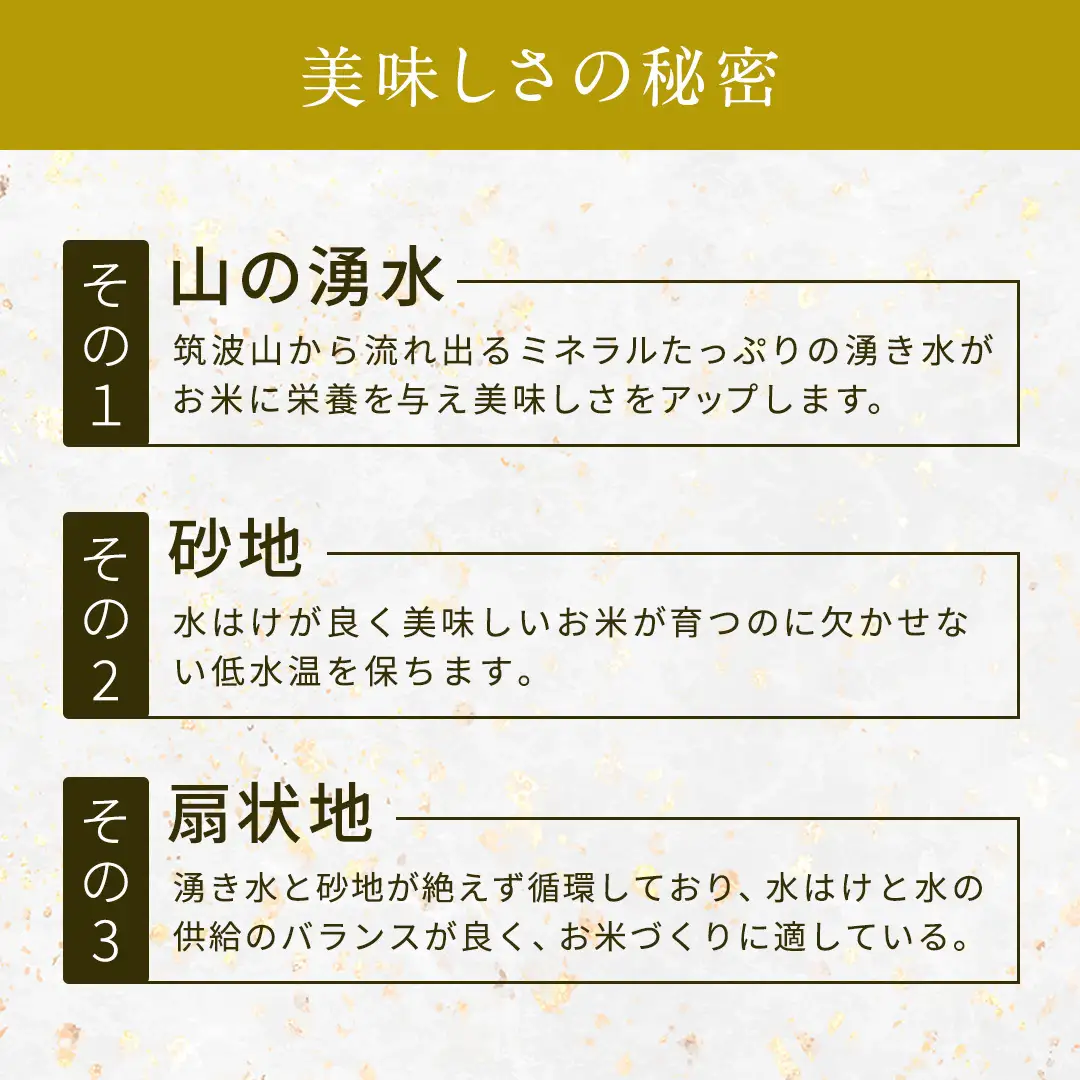 【 令和8年産 】 コシヒカリ ・ にじのきらめき 食べ比べ セット 合計10kg (各5kg) 米 ごはん もっちり 後味すっきり 甘い コメ お米 精米 銘柄米 [AX014sa]