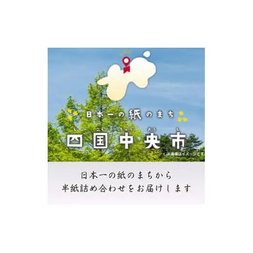 書道半紙　純雁皮　漢字・仮名用