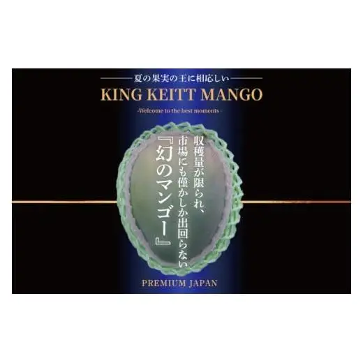 【2027年8月より順次発送】【KING KEITT MANGOl】特選プレミアムキーツマンゴー 1玉(約750g以上) 沖縄県 豊見城市(BV012)