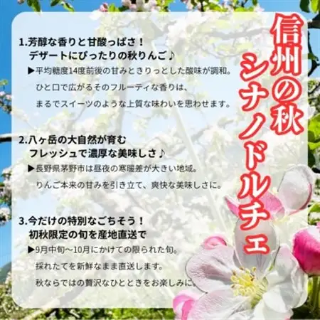 【2026年先行受付】長野直送!信州八ヶ岳のりんごシナノドルチェ約5kg(12～18玉)蓼科高原果物【配送不可地域：離島】【1665924】