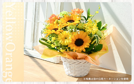 定期便 ≪6ヶ月連続お届け≫ 季節のフラワーアレンジメント L (イエロー・オレンジ) 花束 生花 プレゼント [K-20701_02]