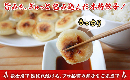 ＜愛媛のおいしい餃子セット もっちり餃子 合計125個(25個×5袋)＞ぎょうざ ギョーザ 餃子 国産 丸餃子 もっちり 国産野菜 ブランド豚 鍋 浅野食品 愛媛県 西予市【冷凍】『1か月以内に順次出荷予定』OAH0001