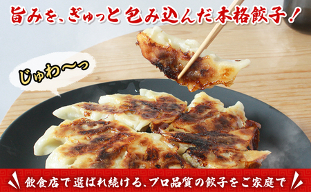 ＜愛媛のおいしい餃子セット サクッとジューシー餃子 125個(25個×5袋)＞ぎょうざ ギョーザ 餃子 国産 ジューシー パリッ 国産野菜 ブランド豚 鍋 浅野食品 愛媛県 西予市【冷凍】『1か月以内に順次出荷予定』OAH0002
