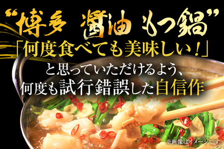 【先行予約】訳あり！博多醤油もつ鍋 10人前（2人前×5セット） CP047er 