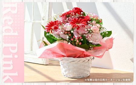 定期便 ≪12ヶ月連続お届け≫ 季節のフラワーアレンジメント L (レッド・ピンク) 花束 生花 プレゼント [O-20703_01]