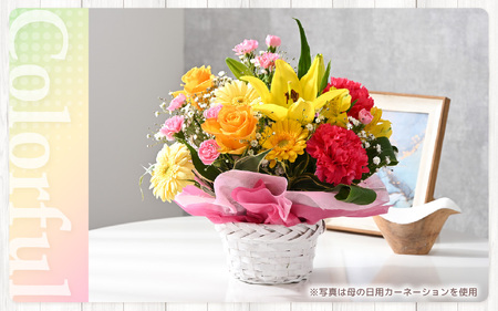 定期便 ≪12ヶ月連続お届け≫ 季節のフラワーアレンジメント L (カラフル) 花束 生花 プレゼント [O-20703_03]
