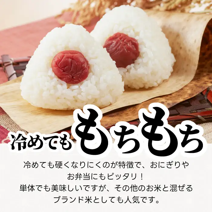 ミルキークイーン5kg 令和8年産 米 白米 ごはん 精米 お米 ご飯 おにぎり お弁当 こしひかり 世羅米 世羅産 世羅町産 A041-14