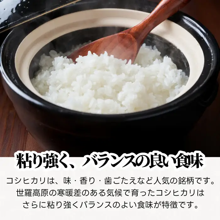 コシヒカリ5kg 令和8年産 米 白米 ごはん 精米 お米 ご飯 おにぎり お弁当 こしひかり 世羅米 世羅産 世羅町産 A041-17