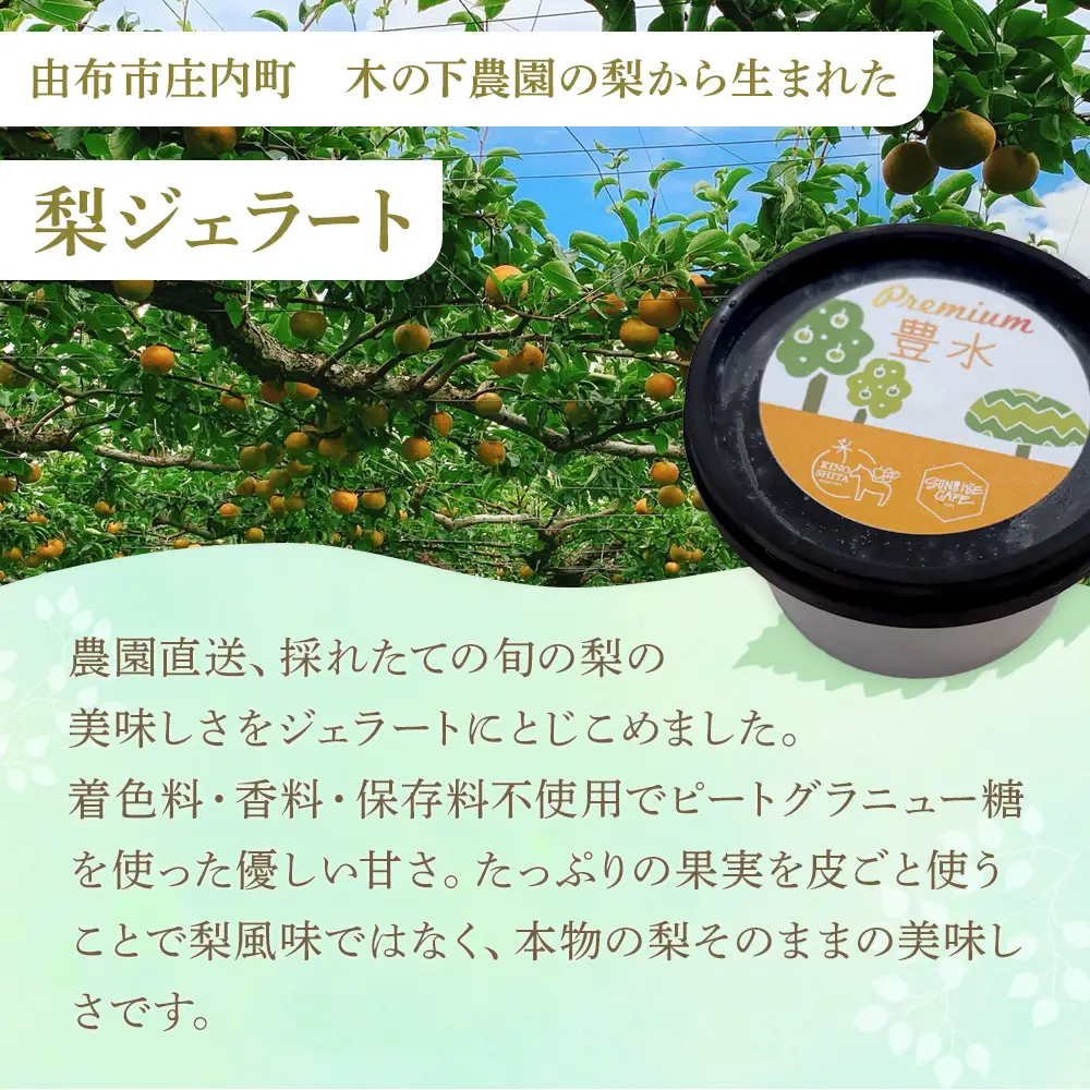 ＜庄内梨80％使用＞梨のプレミアムジェラート 6個 セット（幸水・豊水・新高 各2個）