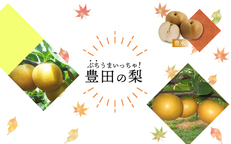 【数量限定】梨 5kg 豊水 | 梨 FQ101