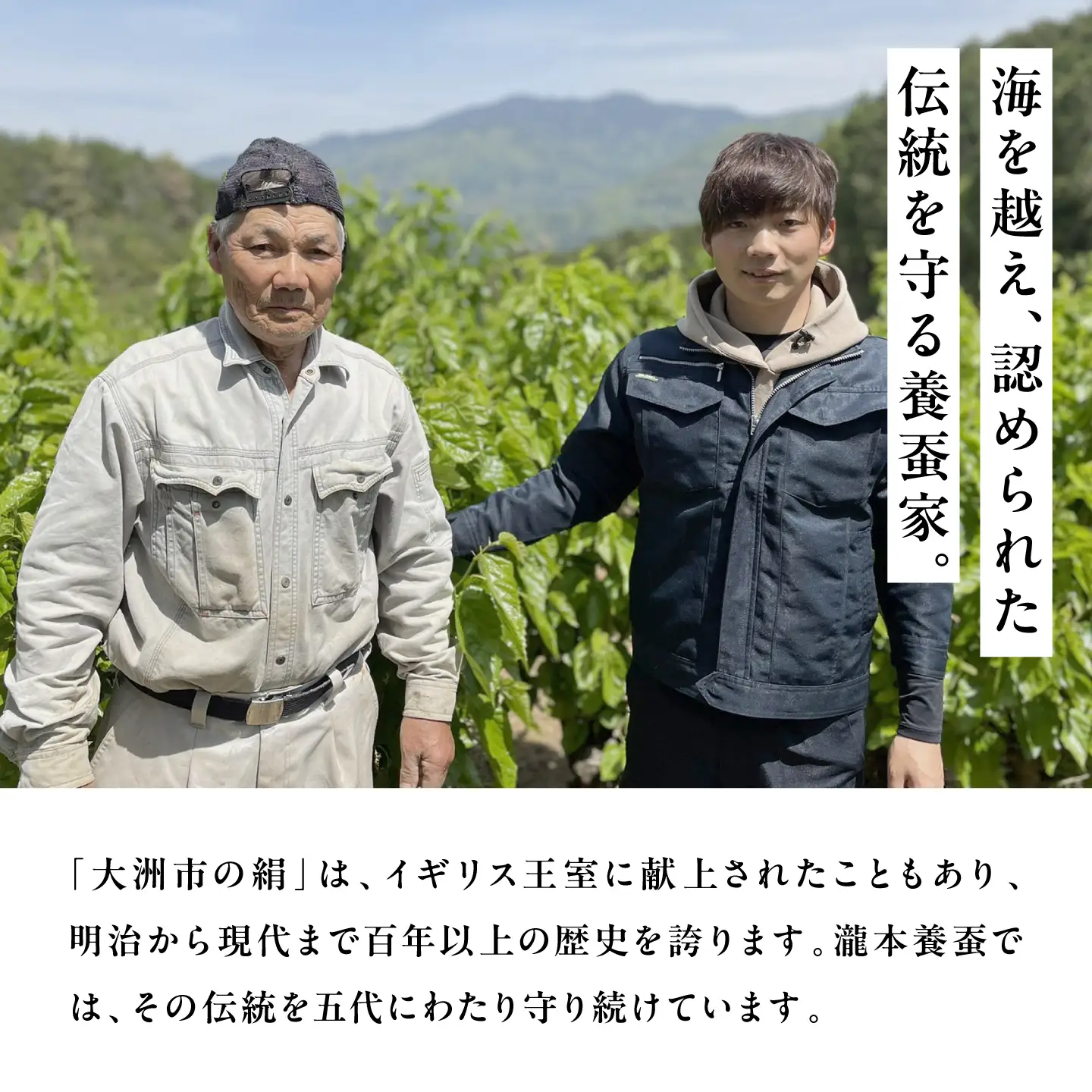 石鹸 おおず繭せっけん 2個 石鹸[AGAD010]