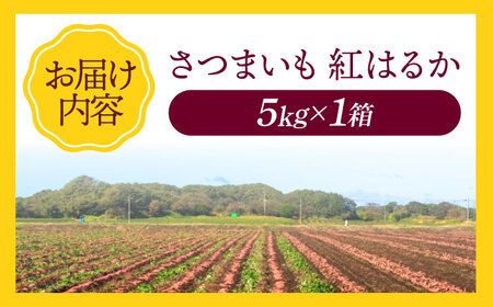 紅はるか 5kg 紅はるか[AGAP020]