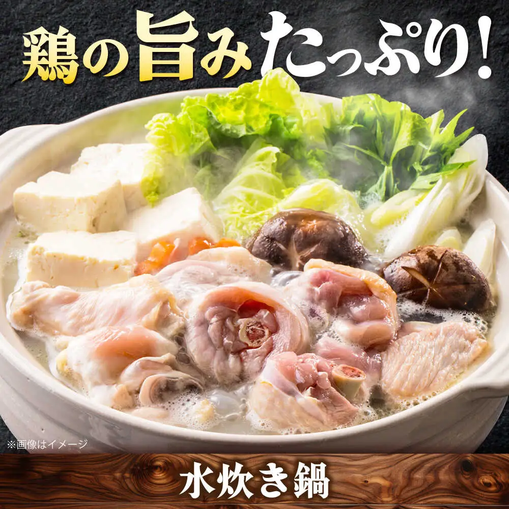 【全4回定期便】博多うまいもん定期便 寄附額 5万円[BGZZ014]おすすめ 5万円
