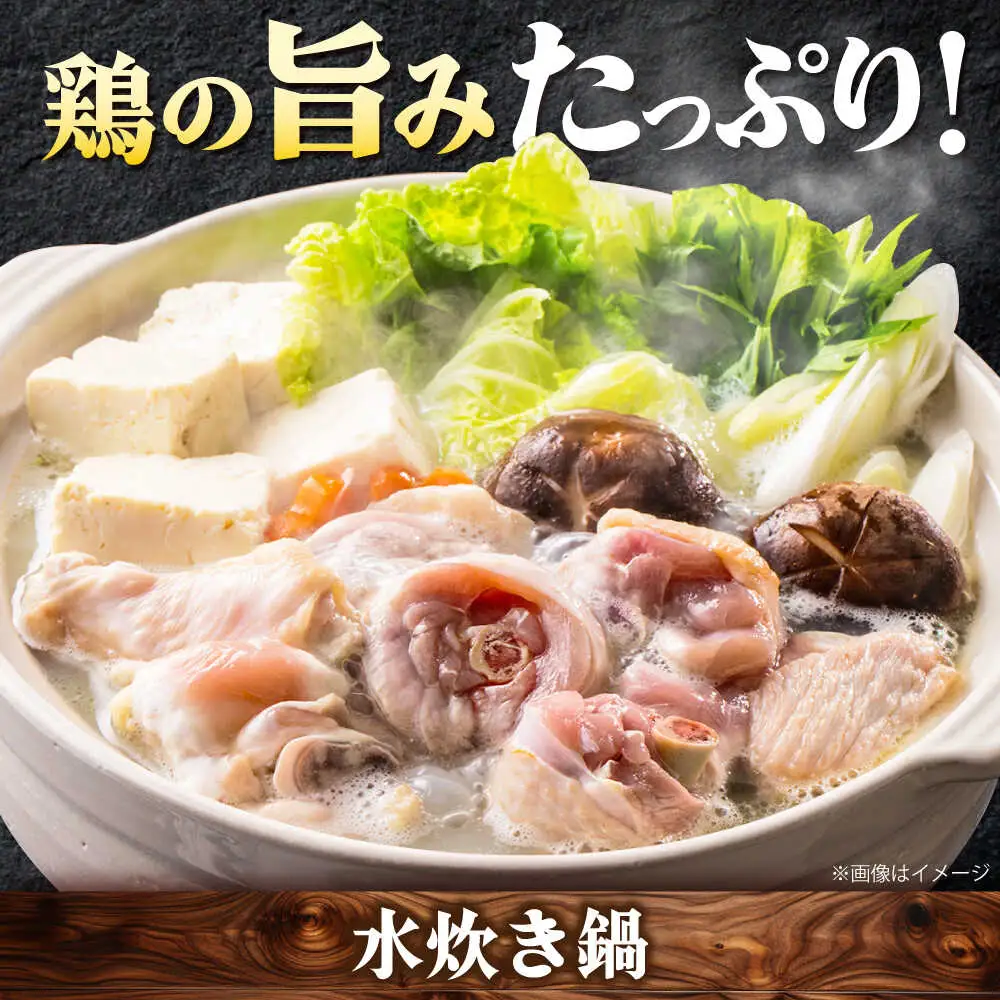 【全8回定期便】博多うまいもん定期便 寄附額 15万円[BGZZ016] 福岡 九州 グルメ