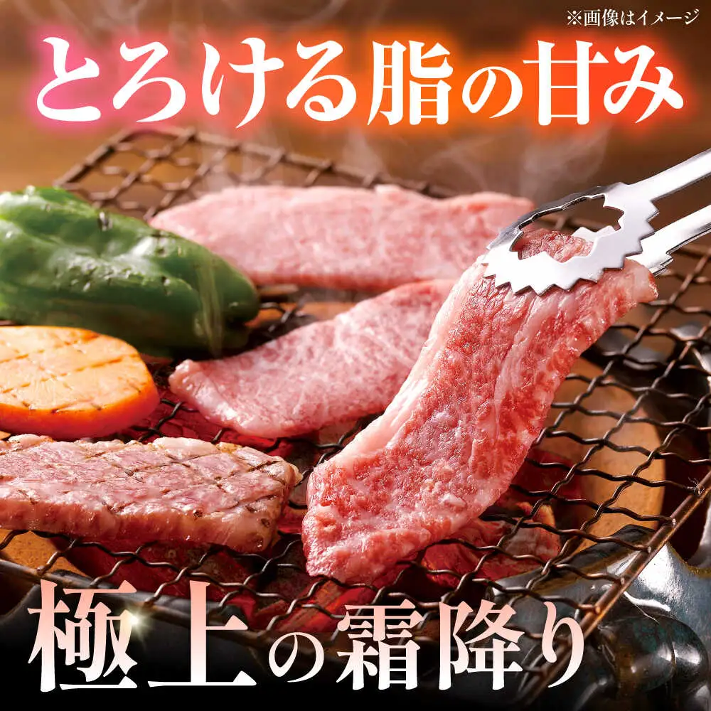 くまもと黒毛和牛 黒樺牛 A4〜A5等級 カルビ 焼肉用 約500g 黒毛和牛 カルビ焼肉[AYBJ032]