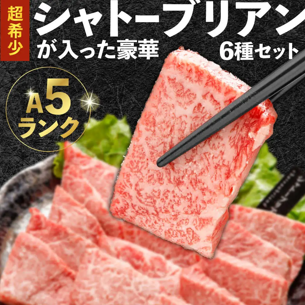 〈シャトーブリアン入り〉希少部位 焼肉 6種食べ比べセット 600g(各100g) / シャトー サーロイン カルビ モモ ロースザブトン ミスジ トモサンカク イチボ ランプ 長崎和牛 国産 牛肉 和牛 a5 焼肉 やきにく 焼き肉用 セット / 諫早市 / 野中精肉店[AHCW146]