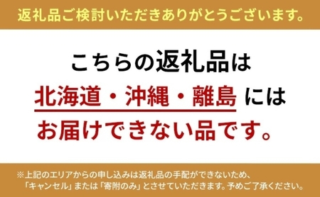 ハツシモ 高橋米 無洗米 大粒 ブランド米 ハツシモ【10kg】【定期便全3回 先行予約】