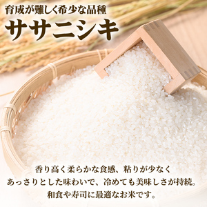 【令和8年産】ササニシキ 精米 玄米 セット 合計6kg（玄米4kg/精米2kg） 柴田町産 お米 おこめ 米 コメ 白米 ご飯 ごはん おにぎり お弁当 【しばたの未来株式会社】sh012