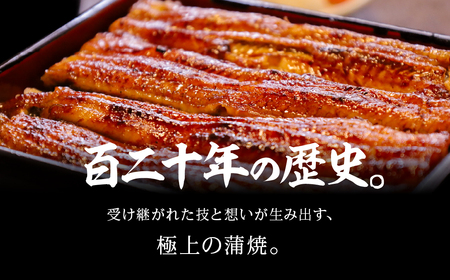 国産若うなぎ 3尾 定期便6回 うなぎ