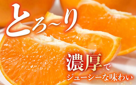 【露地栽培】せとか約3kg（12-15玉） 長与/JAじげもん長与直売所[EAF008]