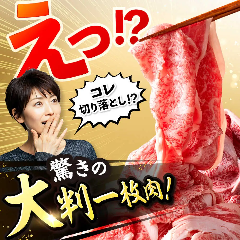 長崎和牛 牛肉切り落とし 1kg / 牛肉切り落とし CFT028