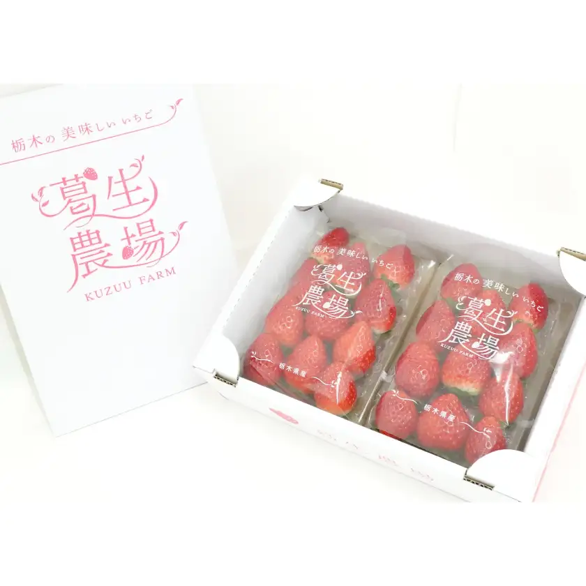 【春いちご】栃木のいちご食べ比べ!「2品種組み合わせ!」セット(260g×2パック)【配送不可地域：離島・沖縄県】【1663315】
