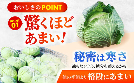 【先行予約】 キャベツ 10kg 【吉祥】[HDG001]