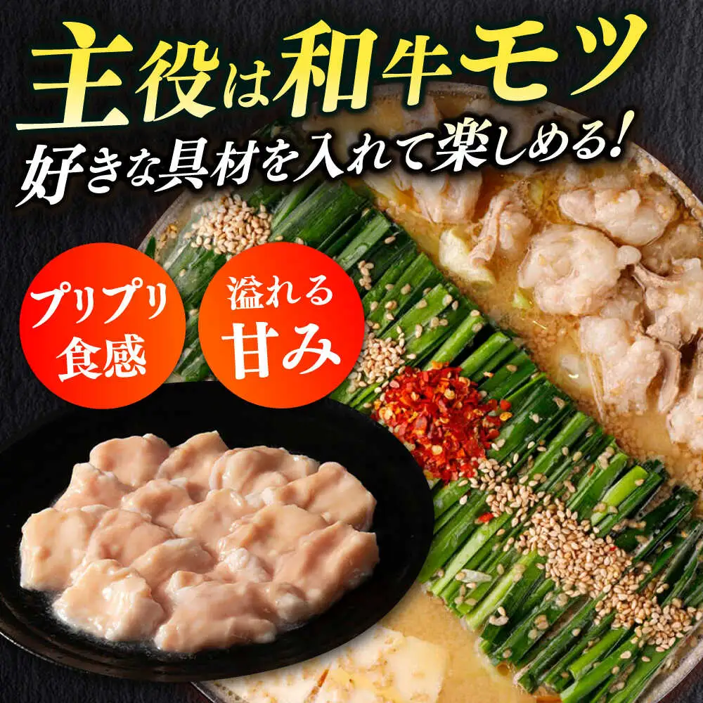もつ鍋 醤油味 15人前 ちゃんぽん麺付 [ABCL172] もつ鍋