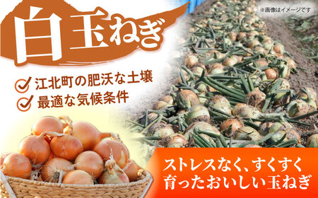 【先行予約】 玉ねぎ（白・赤）セット 計5kg 【吉祥】[HDG002]