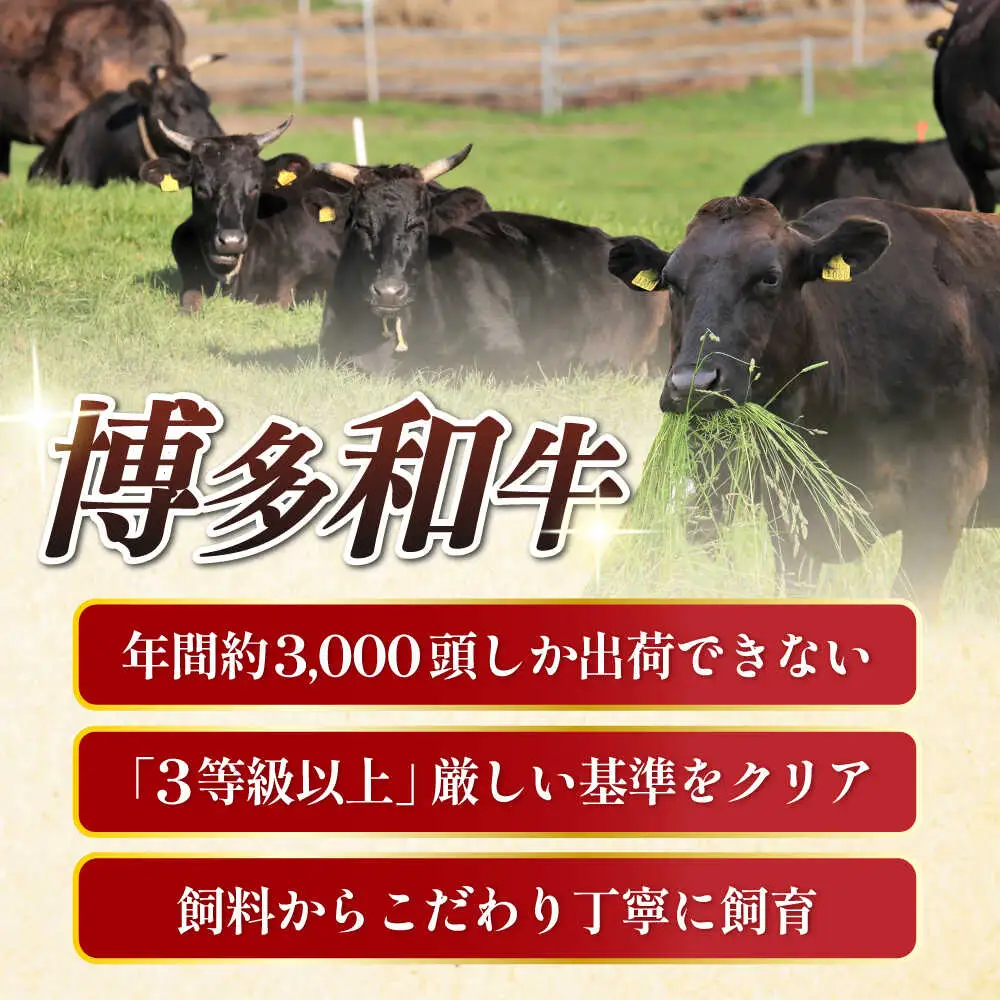 【訳あり】 博多和牛 ヒレ  600g[ABCL177] ヒレ フィレ 牛肉