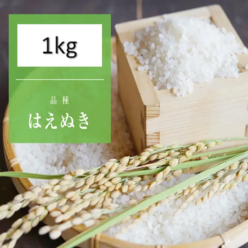 【令和8年産】 天日干しの手間をかけた (はえぬき) 丹野さん家のコメ 精米 1kg FY25-333