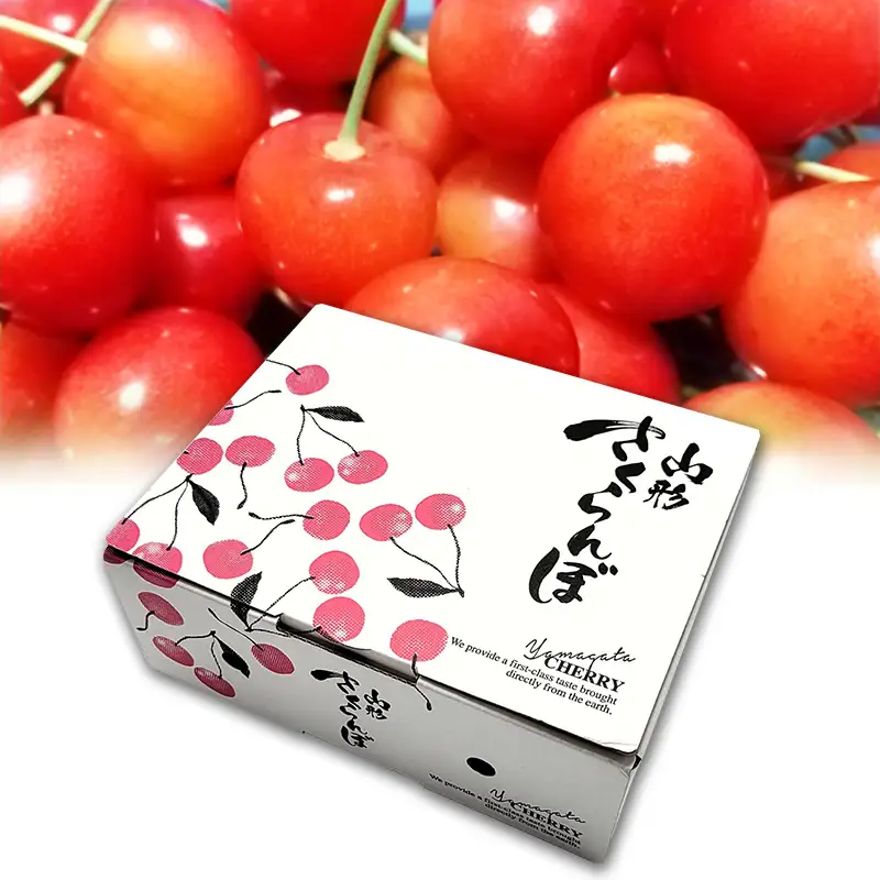 さくらんぼ 紅秀峰 L以上 約500g【令和9年産先行予約】FS26-622