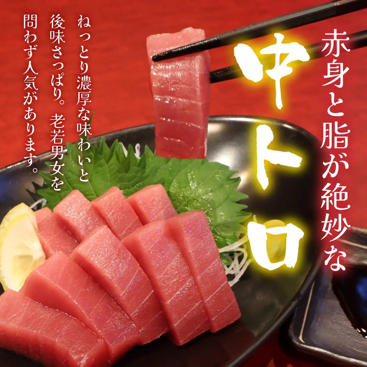 国産 本マグロ 中トロ 約250g 2～3人前 / まぐろ [A-066005]