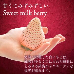 【期間限定】白いちご 1600g ｜ 白いちご
