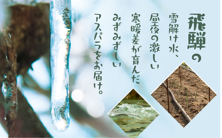 《先行予約》令和9年産 サイズ不揃い アスパラ1.2kg  訳あり アスパラ [GH004-27]