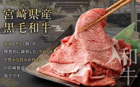 ＜黒毛和牛切り落とし 500g×2パック 計1kg＞翌月末迄に順次出荷 【c1456_tu】 黒毛和牛 和牛 牛肉 肉 切り落とし 切落し お肉 国産 九州産 冷凍 宮崎県 高鍋町