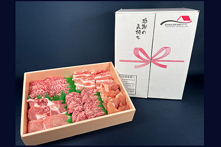 佐賀県産厳選5種焼肉盛り合わせ 600ｇ（2?3人前） J1048