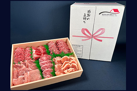 佐賀県産厳選6種焼肉盛り合わせ 1000ｇ（2?3人前） J1049