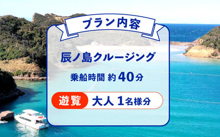 辰ノ島クルージング(辰ノ島遊覧)大人1名様分《壱岐市》【勝本町漁業協同組合】[JFN002]