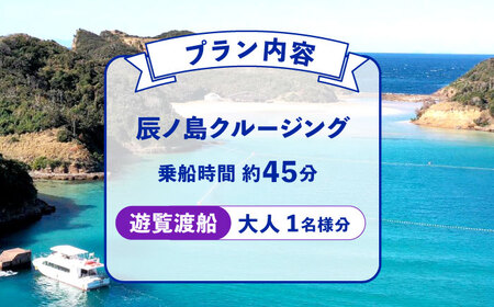 辰ノ島クルージング(辰ノ島遊覧渡船)大人1名様分《壱岐市》【勝本町漁業協同組合】[JFN003]