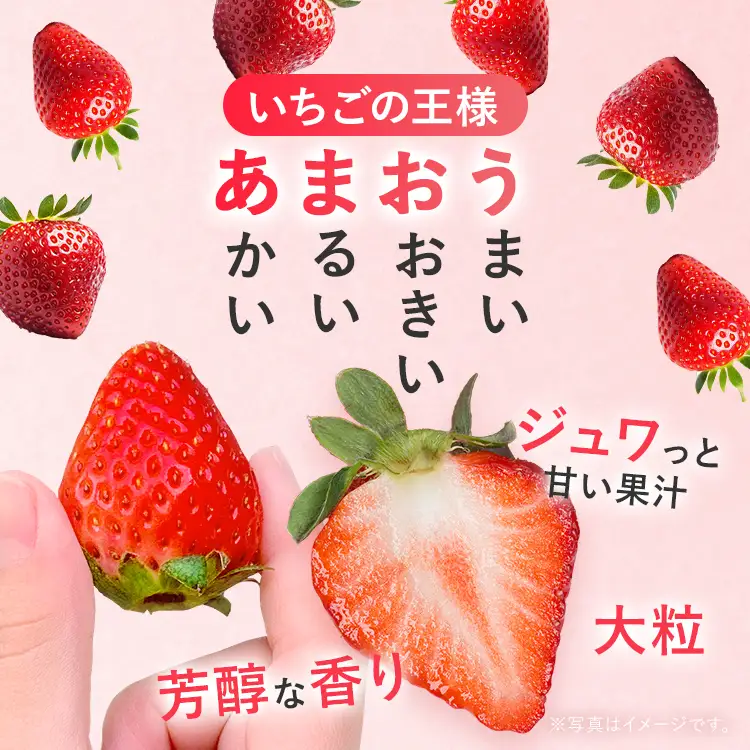 あまおうDX 約250g~約270g×2パック いちご 苺 フルーツ 果物 くだもの 福岡県 福岡 九州 グルメ お取り寄せ 【2027年2月上旬～2027年4月末頃発送予定】