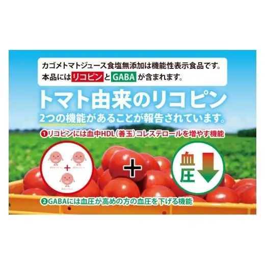 【3回定期便】カゴメトマトジュース 食塩無添加 720ml×15個｜KAGOME とまと 野菜 リコピン GAVA 機能性表示食品（93-200）