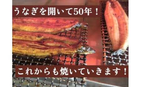 朝開き　うなぎ蒲焼特大　1尾入　タレ付