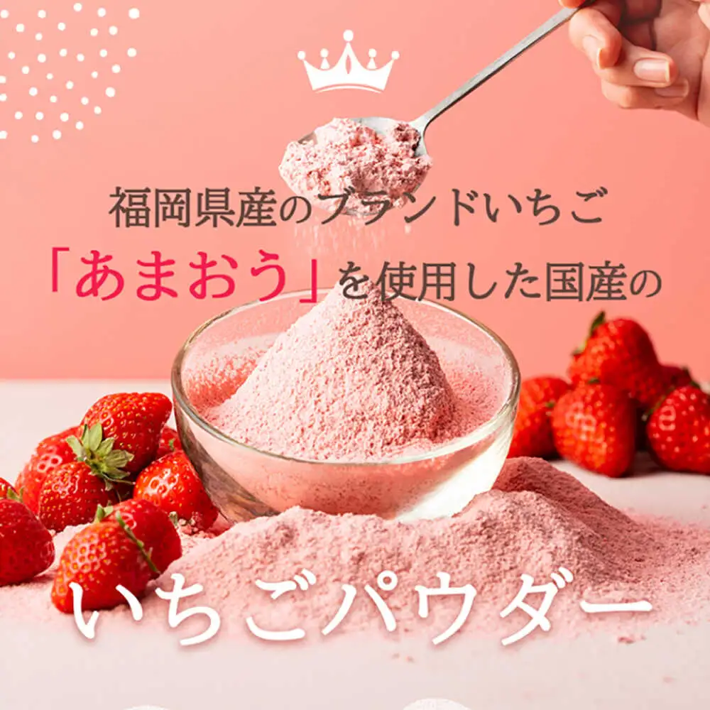 福岡県産あまおうパウダー 100ｇ いちご 粉末 製菓 糸島市 / 株式会社フルコンス[ALO002]