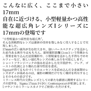 SIGMA 17mm F4 DG | Contemporary【Lマウント】（シルバー）