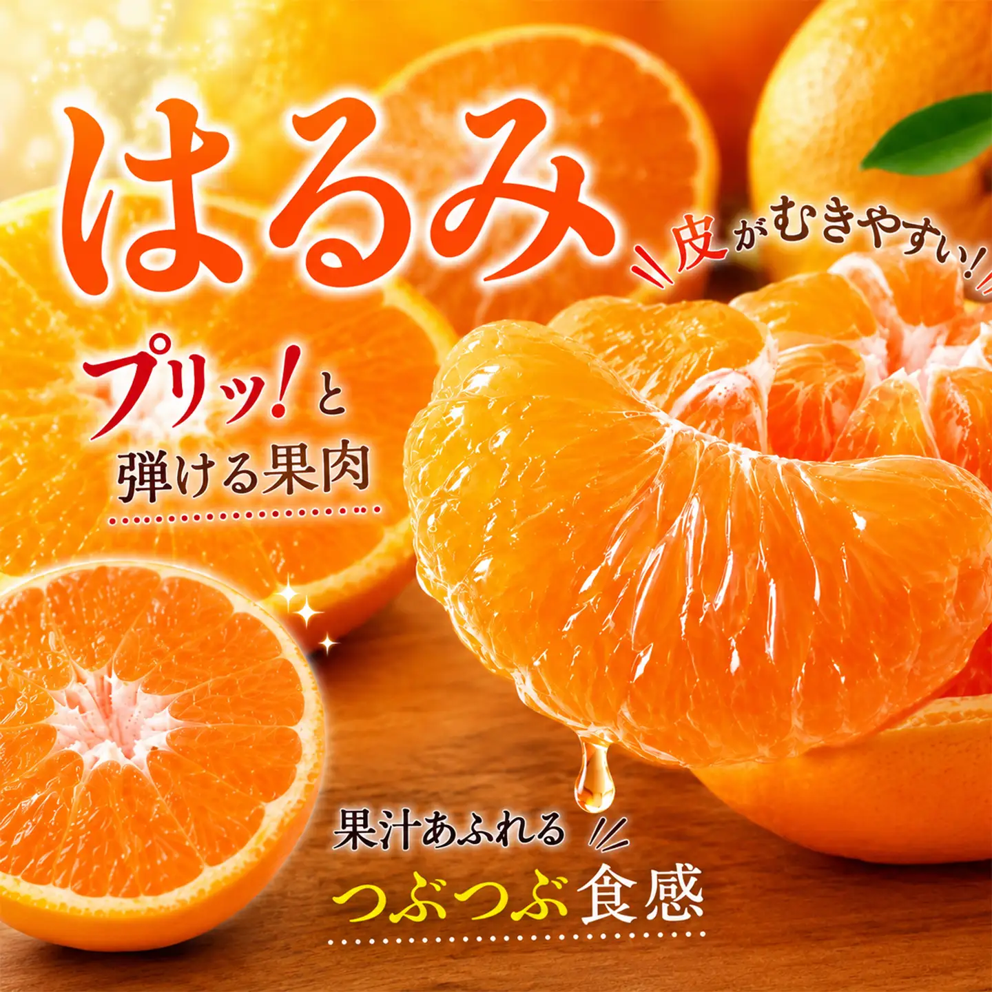 はるみ 訳あり 5kg 規格外 ミカン 柑橘 2027年発送 先行予約 ／ 野菜ソムリエ石児さんの「はるみ 5kg」＜103-011＞