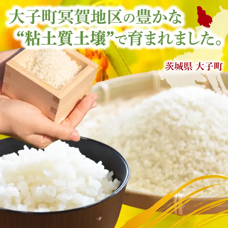 新米5kg「名土のみやげ」コシヒカリ（白米）5kg令和8年産【9月中旬より順次出荷】｜茨城県 大子町 奥久慈 米 精米 ご飯 数量限定(DB001)