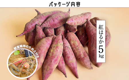 【先行予約】香取市産 紅はるか 約5kg / 厳選 不揃い さつまいも 土付き 熟成 焼き芋 千葉県 薩摩芋 密芋 スイートポテト しっとり ほっくり 自然のスイーツ  ※2026年12月上旬以降順次発送予定 