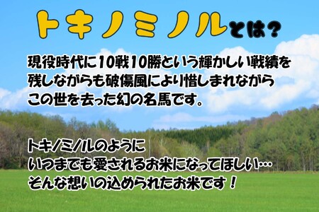 北海道産 ななつぼし トキノミノル 白米 5kg