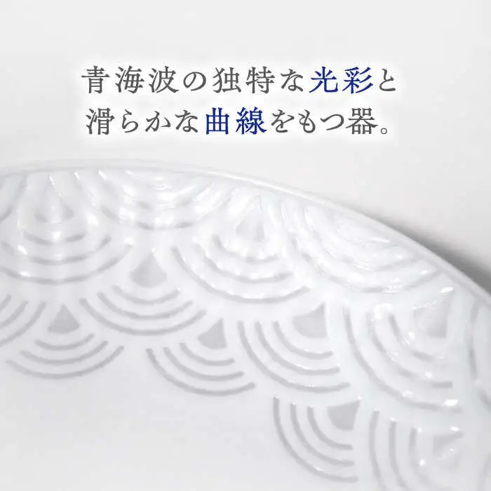【波佐見焼】青海波グレー プレート Lサイズ ２個セット【聖栄陶器】[TG29]